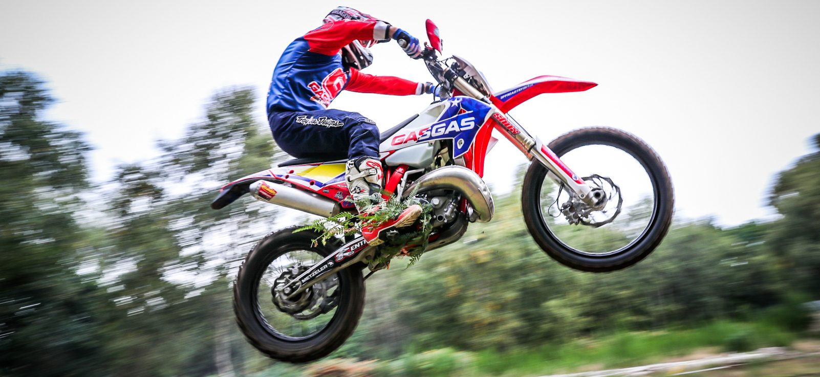 2019 Gas Gas 250 / 300