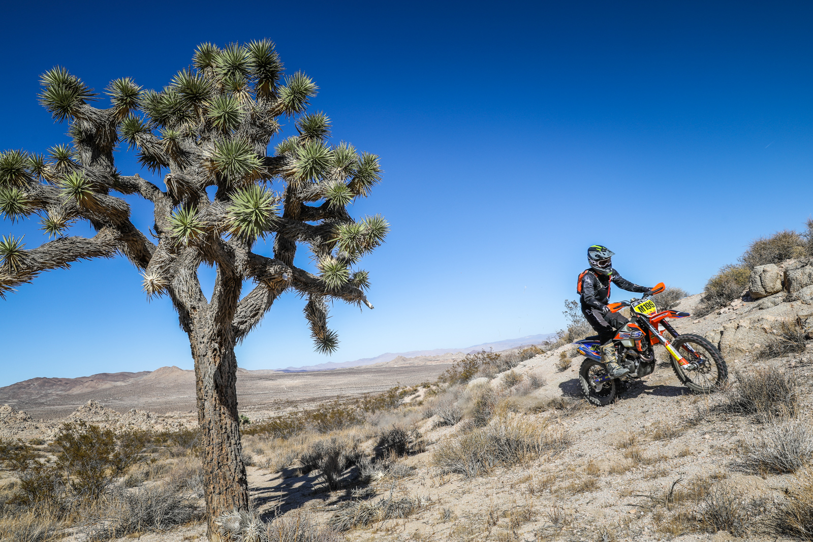 Mojave desert ride